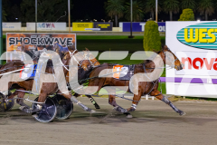2026_PACEPIX_GP10072026_Race6_Paroquet_WIN_WEB-11