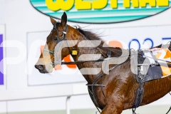 2026_PACEPIX_GP10072026_Race6_Paroquet_WIN_WEB-17
