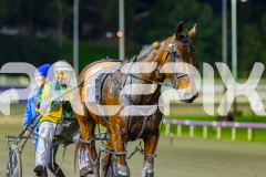 2026_PACEPIX_GP10072026_Race6_Paroquet_WIN_WEB-19