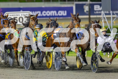 2026_PACEPIX_GP10072026_Race6_Paroquet_WIN_WEB-2