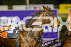 2026_PACEPIX_GP10072026_Race6_Paroquet_WIN_WEB-4