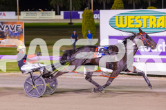 2025_PACEPIX_GP17102025_Race6_PennyBlack_WIN_WEB-13
