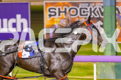 2025_PACEPIX_GP17102025_Race6_PennyBlack_WIN_WEB-15