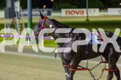 2025_PACEPIX_GP17102025_Race6_PennyBlack_WIN_WEB-18