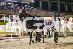 2025_PACEPIX_GP17102025_Race6_PennyBlack_WIN_WEB-23