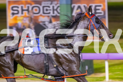 2025_PACEPIX_GP17102025_Race6_PennyBlack_WIN_WEB-4