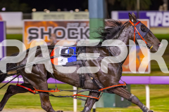 2025_PACEPIX_GP17102025_Race6_PennyBlack_WIN_WEB-7