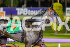 2026_PACEPIX_GP28022026_RACE6_PennyBlack_WIN_WEB-12