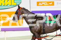 2026_PACEPIX_GP28022026_RACE6_PennyBlack_WIN_WEB-14