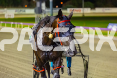 2026_PACEPIX_GP28022026_RACE6_PennyBlack_WIN_WEB-16