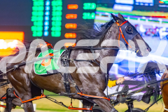 2026_PACEPIX_GP28022026_RACE6_PennyBlack_WIN_WEB-4