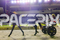 RACE 6 - Penny Black