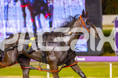 2025_PACEPIX_GP03102025_RACE6_PennyBlack_WIN_WEB-14