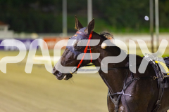 2025_PACEPIX_GP03102025_RACE6_PennyBlack_WIN_WEB-17
