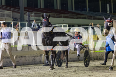 2025_PACEPIX_GP03102025_RACE6_PennyBlack_WIN_WEB-21