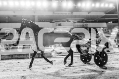 2025_PACEPIX_GP03102025_RACE6_PennyBlack_WIN_WEB-22