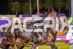 2025_PACEPIX_GP03102025_RACE6_PennyBlack_WIN_WEB-3