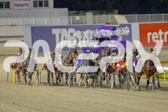 2025_PACEPIX_GP13052025_Race6_PetesHonour_WIN_WEB-1