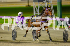 2025_PACEPIX_GP13052025_Race6_PetesHonour_WIN_WEB-13
