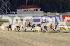 2025_PACEPIX_GP13052025_Race6_PetesHonour_WIN_WEB-2