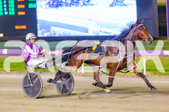 2025_PACEPIX_GP13052025_Race6_PetesHonour_WIN_WEB-7