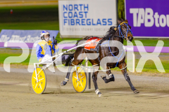 2025_PACEPIX_GP25042025_RACE6_PrinceOfPleasure_WIN_WEB-10