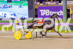 2025_PACEPIX_GP25042025_RACE6_PrinceOfPleasure_WIN_WEB-11