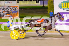 2025_PACEPIX_GP25042025_RACE6_PrinceOfPleasure_WIN_WEB-12