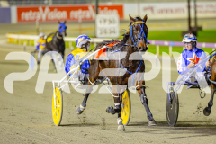 2025_PACEPIX_GP25042025_RACE6_PrinceOfPleasure_WIN_WEB-14