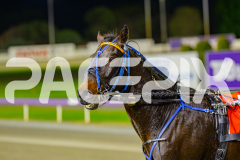 2025_PACEPIX_GP25042025_RACE6_PrinceOfPleasure_WIN_WEB-15