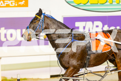2025_PACEPIX_GP25042025_RACE6_PrinceOfPleasure_WIN_WEB-17