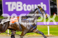 2025_PACEPIX_GP25042025_RACE6_PrinceOfPleasure_WIN_WEB-2