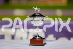2025_PACEPIX_GP25042025_RACE6_PrinceOfPleasure_WIN_WEB-21