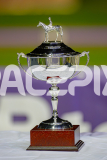 2025_PACEPIX_GP25042025_RACE6_PrinceOfPleasure_WIN_WEB-22