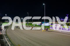 2025_PACEPIX_GP25042025_RACE6_PrinceOfPleasure_WIN_WEB-33