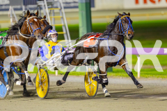 2025_PACEPIX_GP25042025_RACE6_PrinceOfPleasure_WIN_WEB-4
