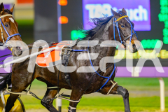 2025_PACEPIX_GP25042025_RACE6_PrinceOfPleasure_WIN_WEB-5