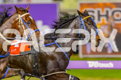 2025_PACEPIX_GP25042025_RACE6_PrinceOfPleasure_WIN_WEB-6