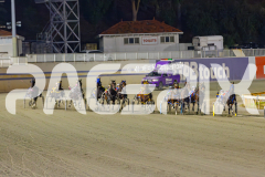 2025_PACEPIX_GP25042025_RACE6_PrinceOfPleasure_WIN_WEB-8