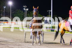 2025_PACEPIX_GP19122025_RACE6_PrincessKatie_WIN_WEB-13
