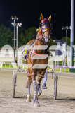 2025_PACEPIX_GP19122025_RACE6_PrincessKatie_WIN_WEB-14