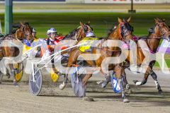 2025_PACEPIX_GP19122025_RACE6_PrincessKatie_WIN_WEB-4