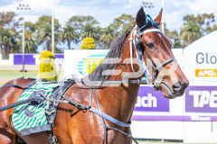 Race 6 - Pushbutton Rock