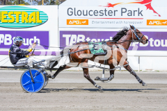 Pushbutton-Rock_05-11-2025_WIN_Gloucester-Park_6__03