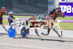 Pushbutton-Rock_05-11-2025_WIN_Gloucester-Park_6__10