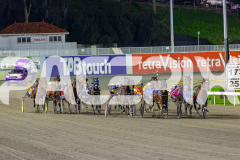 RACE 6 - Pushbutton Rock