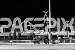 2025_Pacepix_GP30092025_RACE6_PushbuttonRock_WIN_WEB-1
