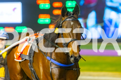 2025_Pacepix_GP30092025_RACE6_PushbuttonRock_WIN_WEB-11