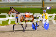 2025_Pacepix_GP30092025_RACE6_PushbuttonRock_WIN_WEB-9