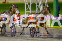 RACE 6 - Relatively Arma
